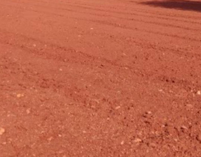 650 Acre Agricultural/Farm Land for Sale in Thisayanvilai, Tirunelveli