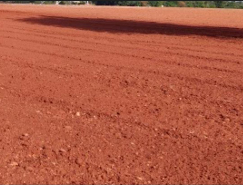 650 Acre Agricultural/Farm Land for Sale in Thisayanvilai, Tirunelveli