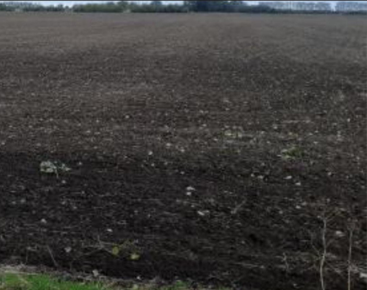 350 Acre Commercial Land for Sale in Karungulam, Thoothukudi