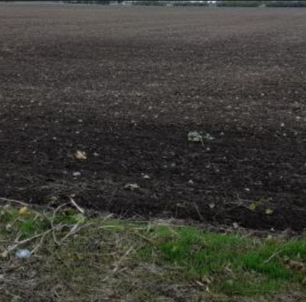 350 Acre Commercial Land for Sale in Karungulam, Thoothukudi