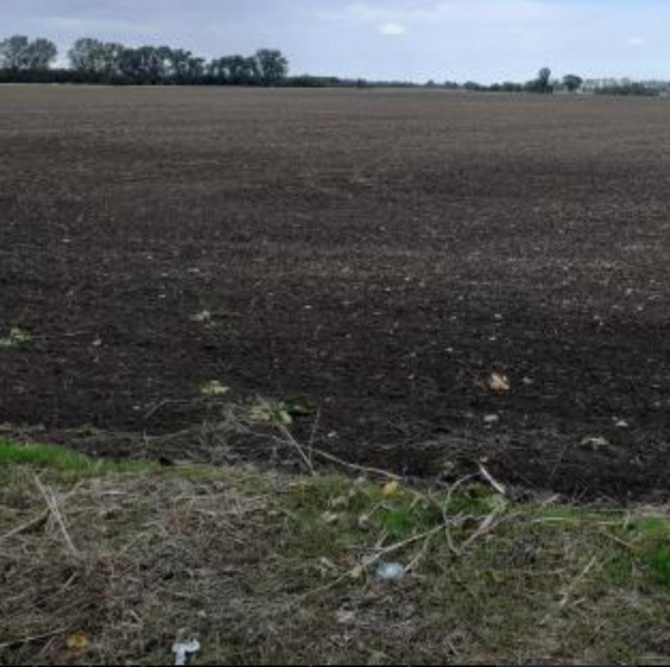 350 Acre Commercial Land for Sale in Karungulam, Thoothukudi