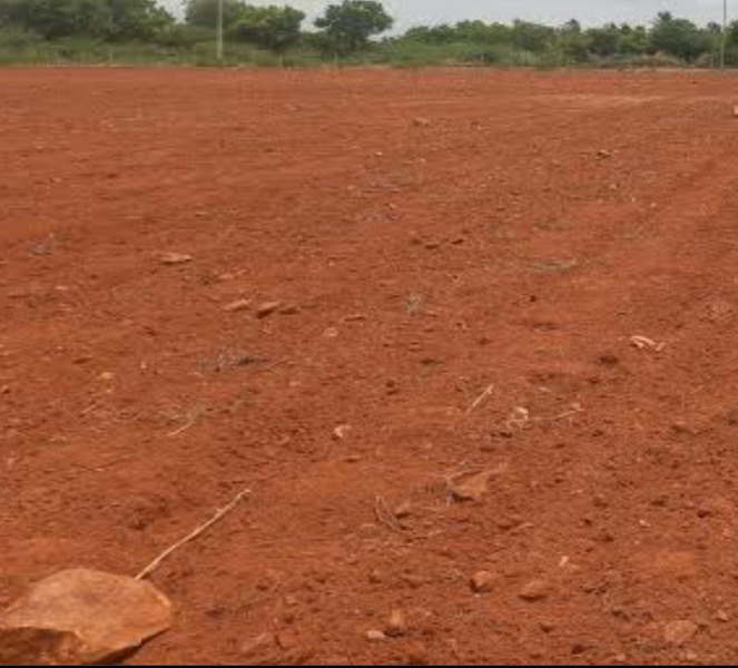200 Acre Agricultural/Farm Land for Sale in Perumalpuram, Tirunelveli