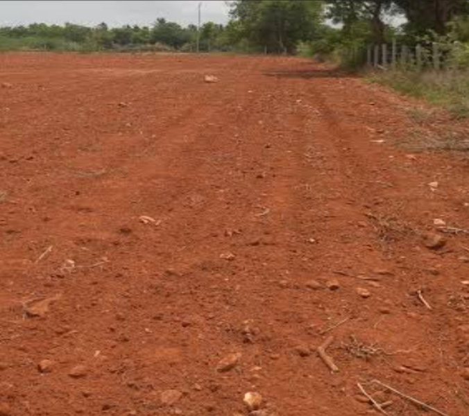 200 Acre Agricultural/Farm Land for Sale in Perumalpuram, Tirunelveli