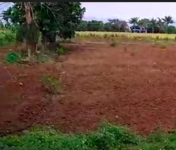 8 Acre Agricultural/Farm Land for Sale in Dharapuram, Tirupur