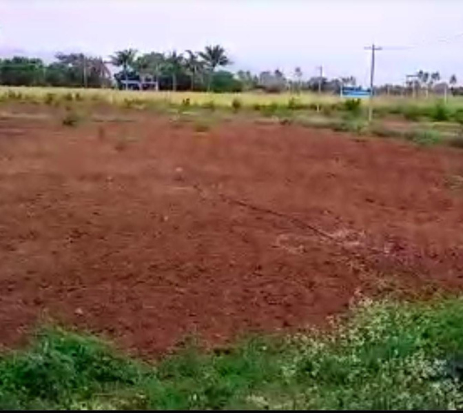 8 Acre Agricultural/Farm Land for Sale in Dharapuram, Tirupur