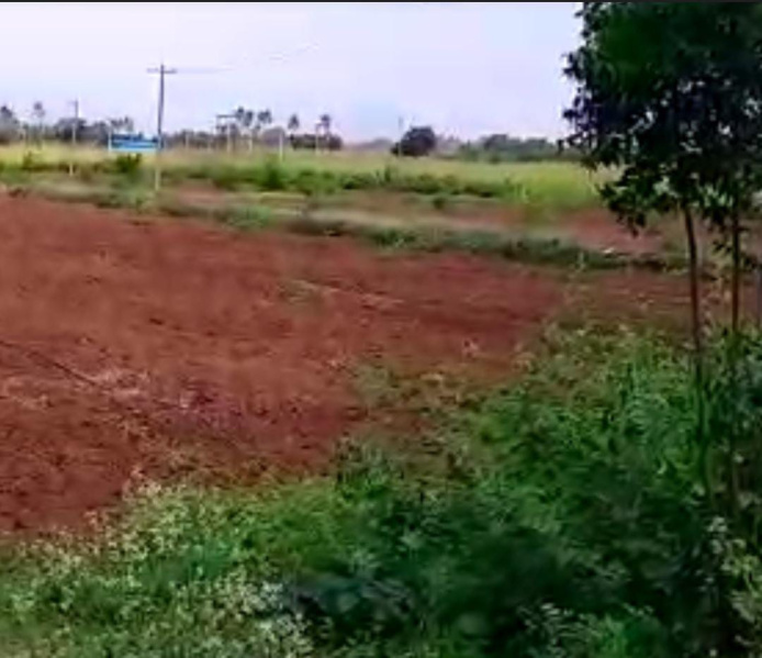8 Acre Agricultural/Farm Land for Sale in Dharapuram, Tirupur