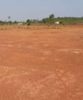 Agricultural Land for Sale in Thondamuthur, Coimbatore