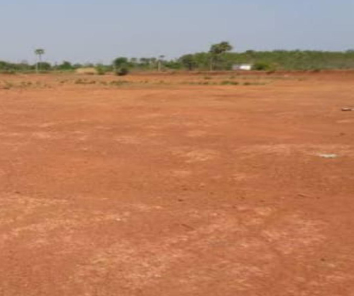 7 Acre Agricultural/Farm Land for Sale in Thondamuthur, Coimbatore