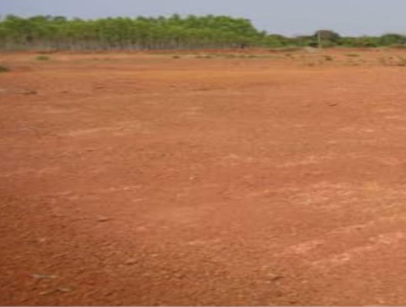 7 Acre Agricultural/Farm Land for Sale in Thondamuthur, Coimbatore