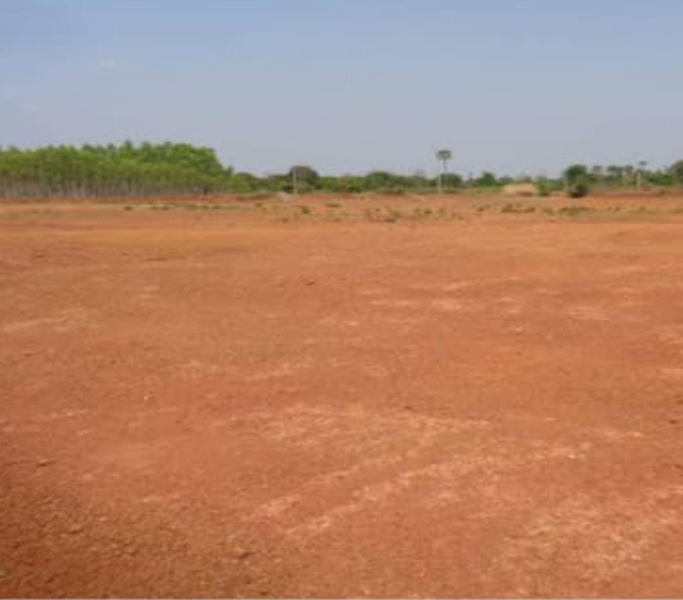 7 Acre Agricultural/Farm Land for Sale in Thondamuthur, Coimbatore