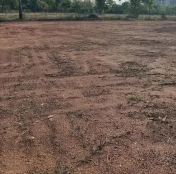 11 Acre Residential Plot for Sale in Tenkasi, Tirunelveli