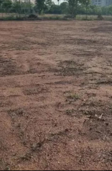  11 Acre Residential Plot for Sale in Tenkasi, Tirunelveli