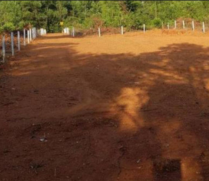  6 Cent Commercial Land for Sale in Palayamkottai, Tirunelveli