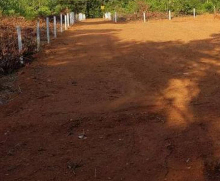  6 Cent Commercial Land for Sale in Palayamkottai, Tirunelveli