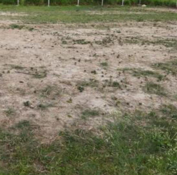  2 Acre Commercial Land for Sale in Tiruppur, Tirupur