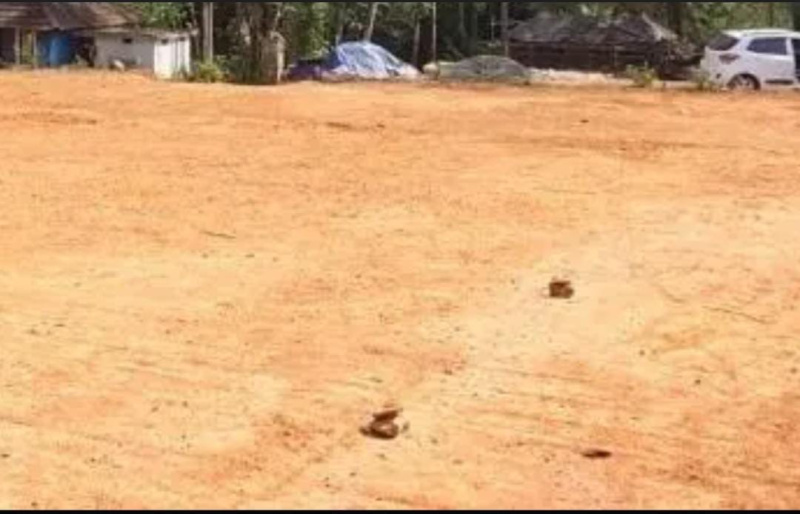  1 Acre Residential Plot for Sale in Oragadam, Chennai