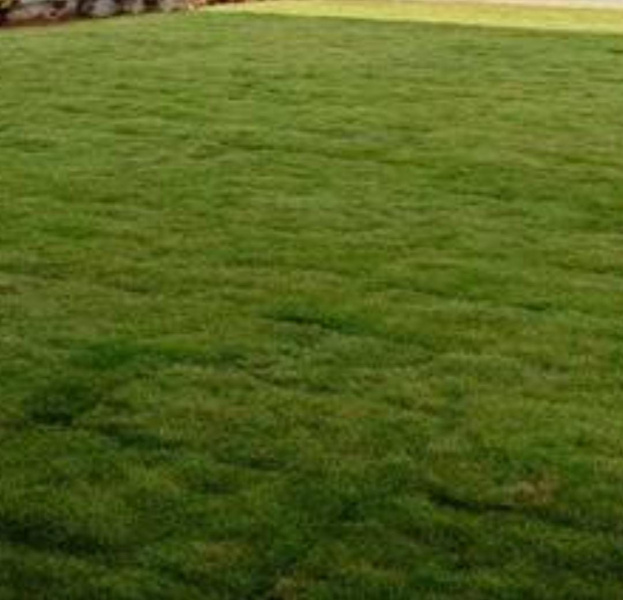  16 Acre Residential Plot for Sale in Bagalur Road, Hosur