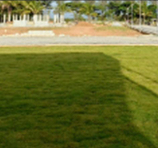  16 Acre Residential Plot for Sale in Bagalur Road, Hosur