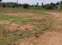  Residential Plot for Sale in Veeravanallur, Tirunelveli