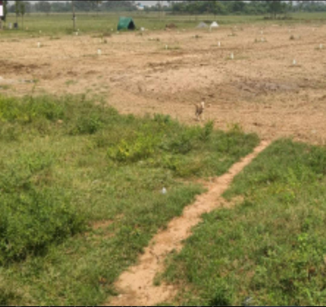  11 Acre Residential Plot for Sale in Veeravanallur, Tirunelveli