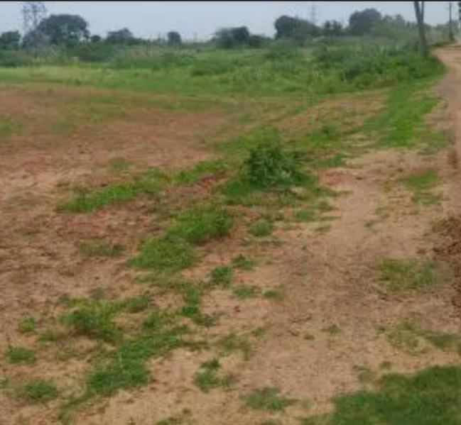  11 Acre Residential Plot for Sale in Veeravanallur, Tirunelveli