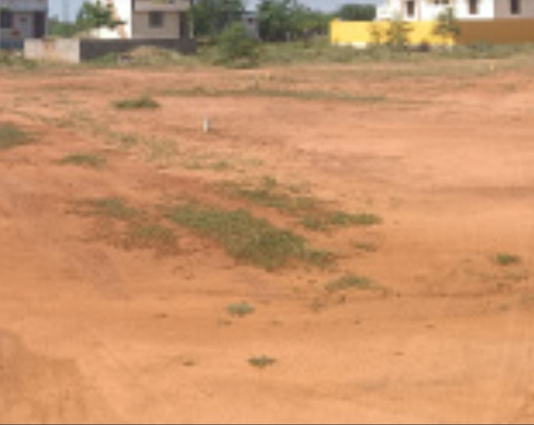 19 Acre Residential Plot for Sale in Tharuvai, Tirunelveli
