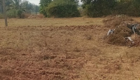  Agricultural Land for Sale in Dodda, Banaswadi, Bangalore