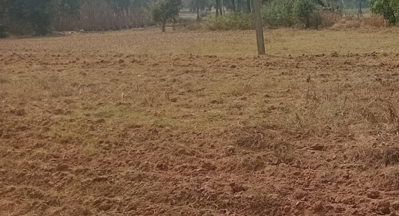  44 Acre Agricultural/Farm Land for Sale in Dodda, Banaswadi, Bangalore