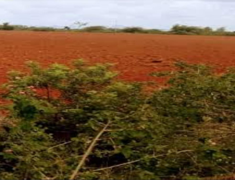 20 Acre Agricultural/Farm Land for Sale in Melacheval, Tirunelveli
