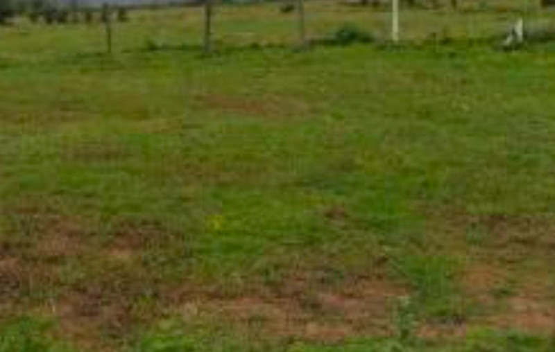  21 Cent Commercial Land for Sale in Vallioor, Tirunelveli