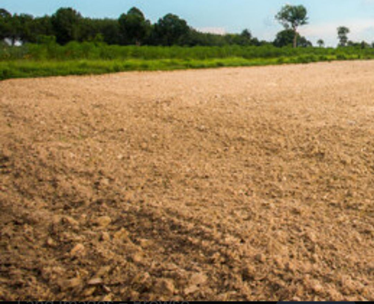  3 Acre Commercial Land for Sale in Puliampatti, Erode