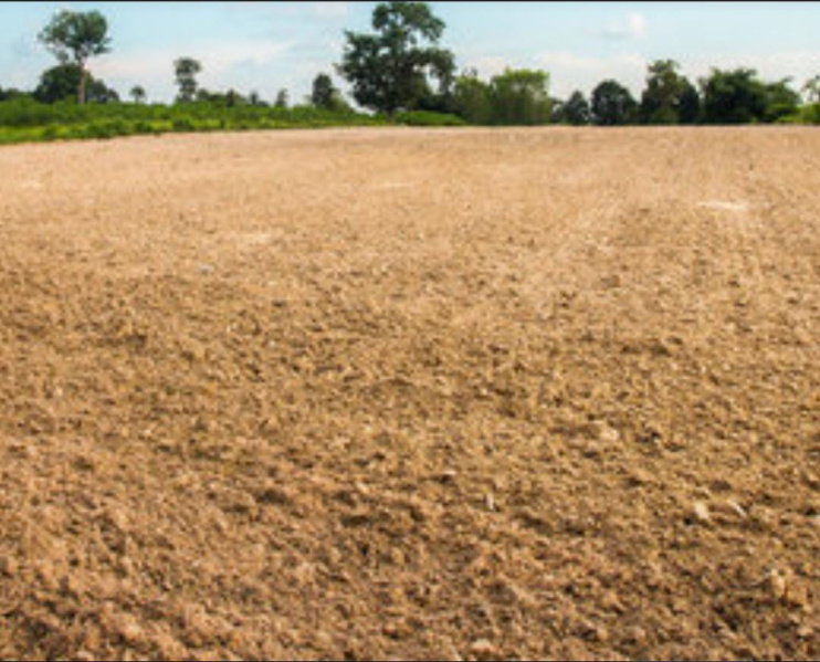  3 Acre Commercial Land for Sale in Puliampatti, Erode