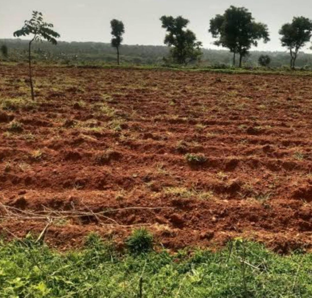  32 Acre Agricultural/Farm Land for Sale in Veeravanallur, Tirunelveli