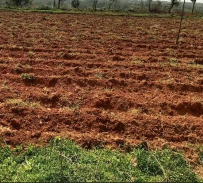  32 Acre Agricultural/Farm Land for Sale in Veeravanallur, Tirunelveli