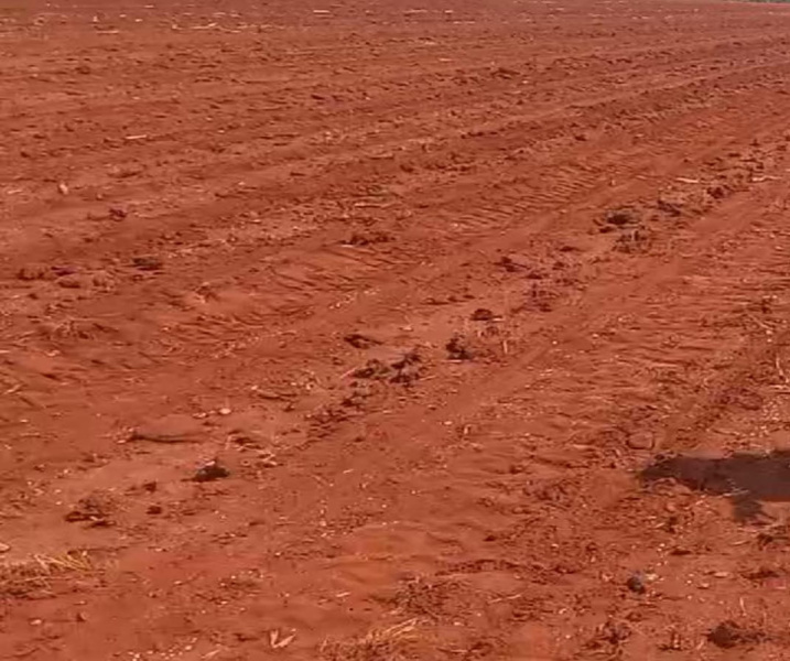  60 Acre Agricultural/Farm Land for Sale in Sankarankoil, Tirunelveli