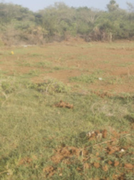  17 Acre Commercial Land for Sale in Panayur, Chennai