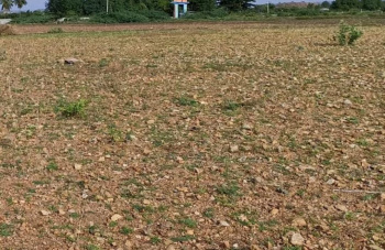 Residential Plot for Sale in Avadi, Chennai