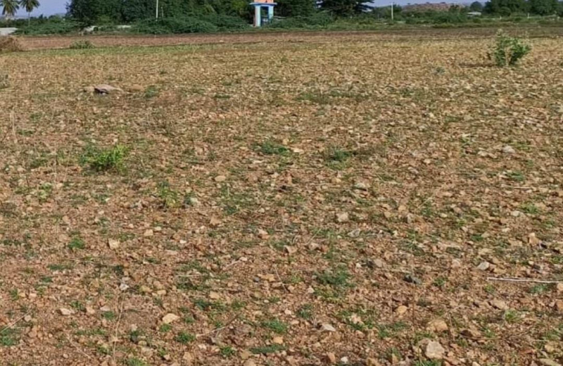  5 Acre Residential Plot for Sale in Avadi, Chennai