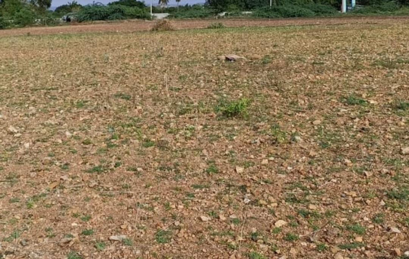  5 Acre Residential Plot for Sale in Avadi, Chennai