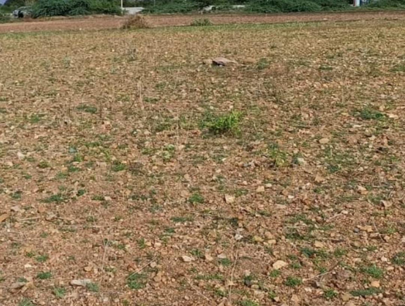  5 Acre Residential Plot for Sale in Avadi, Chennai