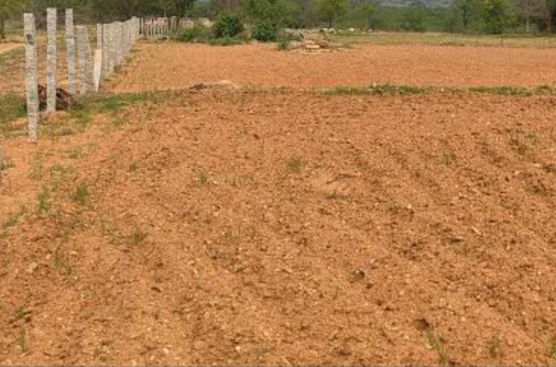  325 Acre Commercial Land for Sale in Kanchipuram, Chennai, 