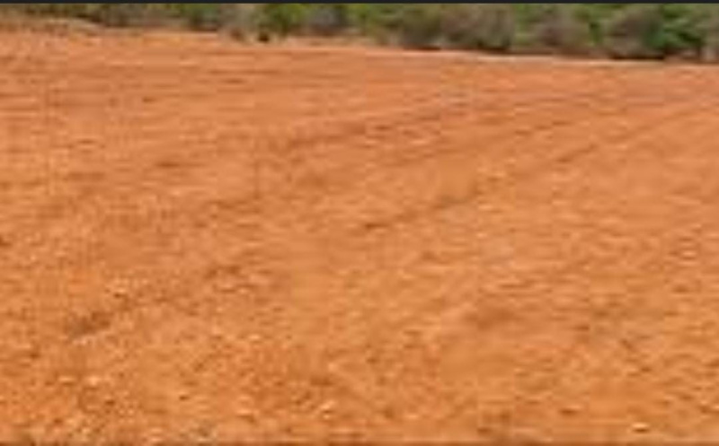  325 Acre Commercial Land for Sale in Kanchipuram, Chennai, 
