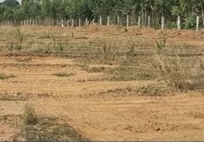  4 Acre Residential Plot for Sale in Tharuvai, Tirunelveli