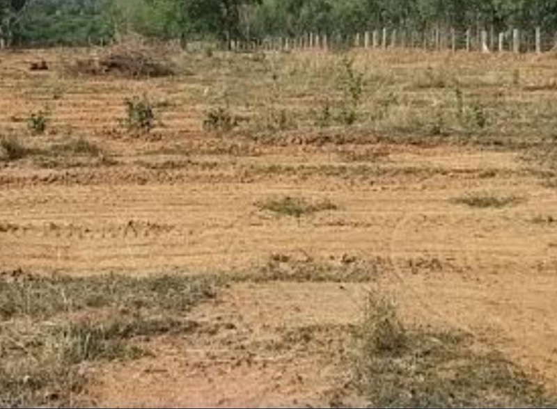  4 Acre Residential Plot for Sale in Tharuvai, Tirunelveli