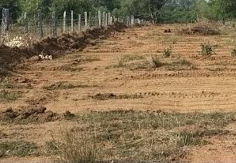  4 Acre Residential Plot for Sale in Tharuvai, Tirunelveli