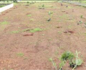  Residential Plot for Sale in Rayagiri, Tirunelveli
