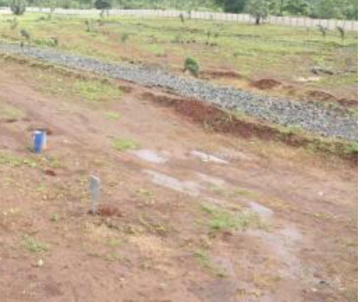  2 Acre Residential Plot for Sale in Rayagiri, Tirunelveli