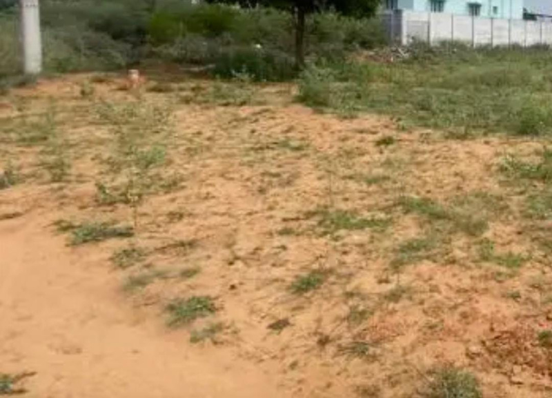  15 Cent Residential Plot for Sale in Thyagaraja Nagar, Tirunelveli