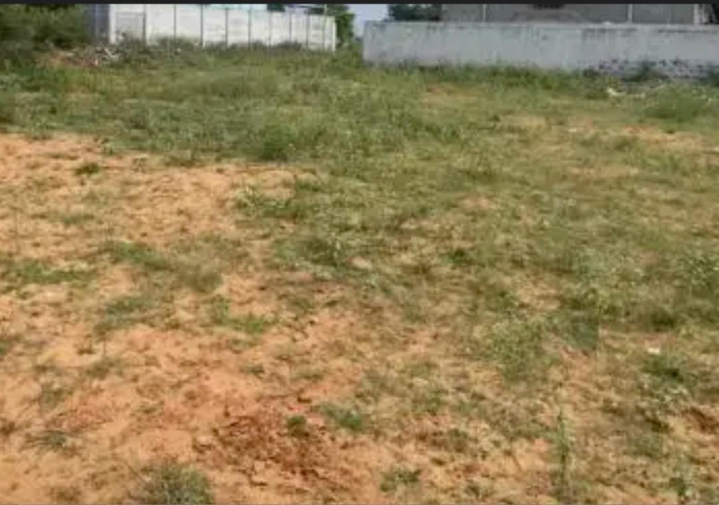  15 Cent Residential Plot for Sale in Thyagaraja Nagar, Tirunelveli