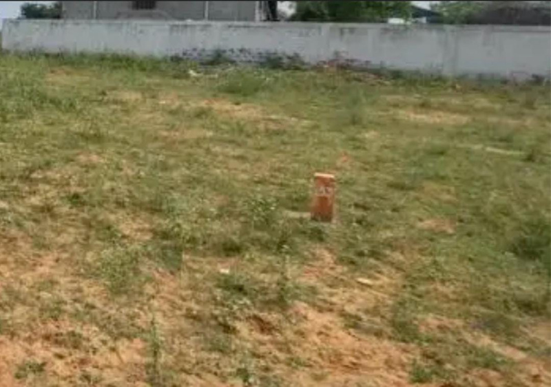  15 Cent Residential Plot for Sale in Thyagaraja Nagar, Tirunelveli